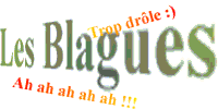 Ma page contenant plein de blagues !!!